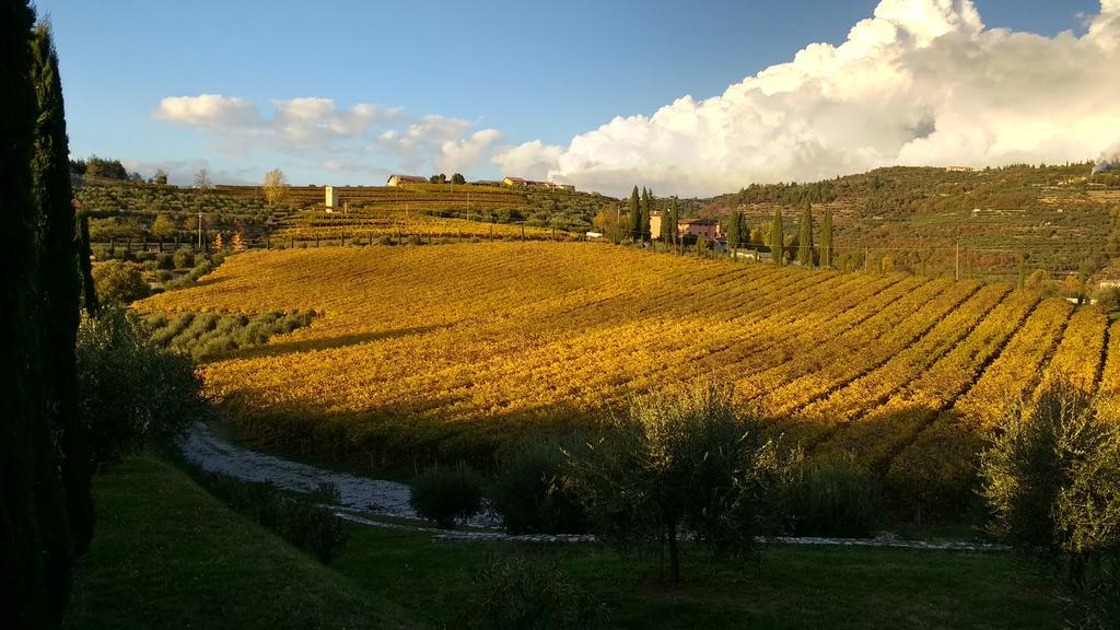 B&B Villa Roncatti Parona di Valpolicella ภายนอก รูปภาพ
